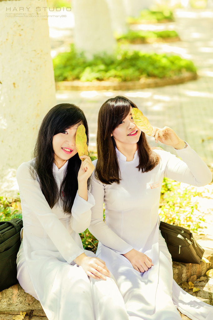 琉璃川落魄贵族动漫在线观看